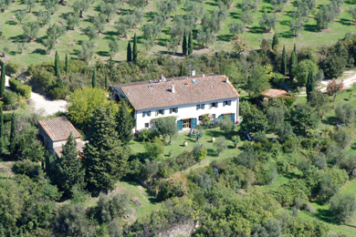 Fattoria il Leccio