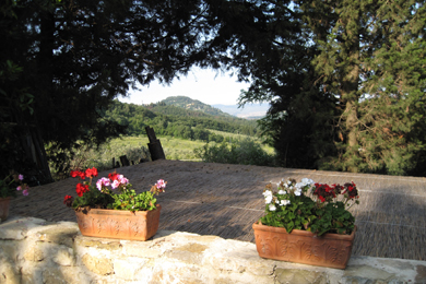 Fattoria il Leccio